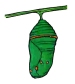 Pupa (or chrysalis). Artwork by Dale Crawford. (click to get large image).