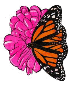 Monarch on flowers. Artwork by Dale Crawford. (click to get image alone).