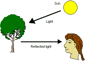 Light Reflecting