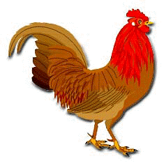 Red Rooster Bird Clipart