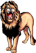 Lion 5