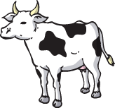 Free Hereford Cow gif provided by animal-clipart.net.